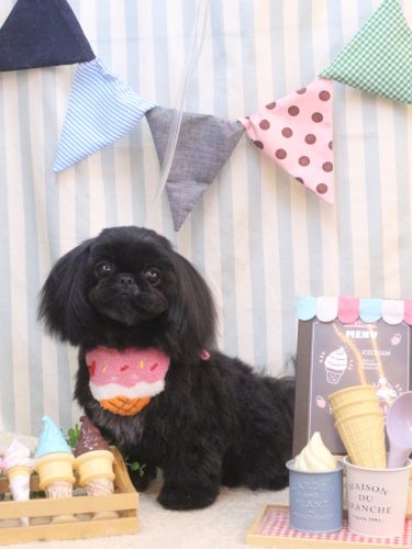 20250523つむぎちゃん